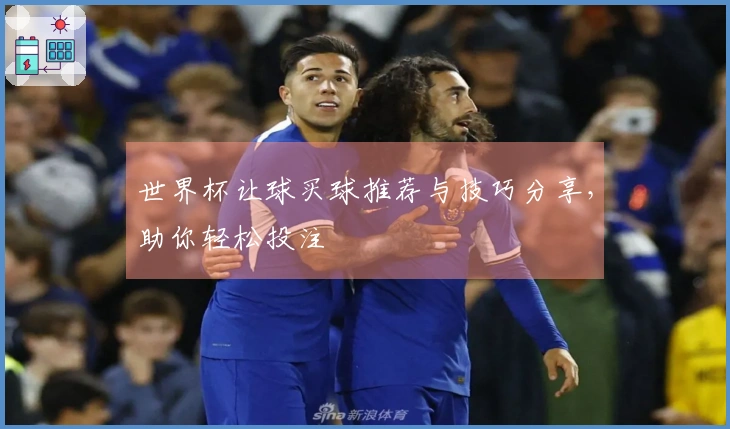 世界杯让球买球推荐与技巧分享，助你轻松投注