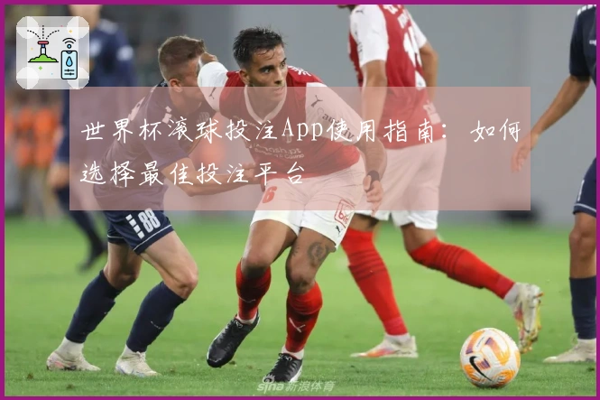 世界杯滚球投注App使用指南：如何选择最佳投注平台