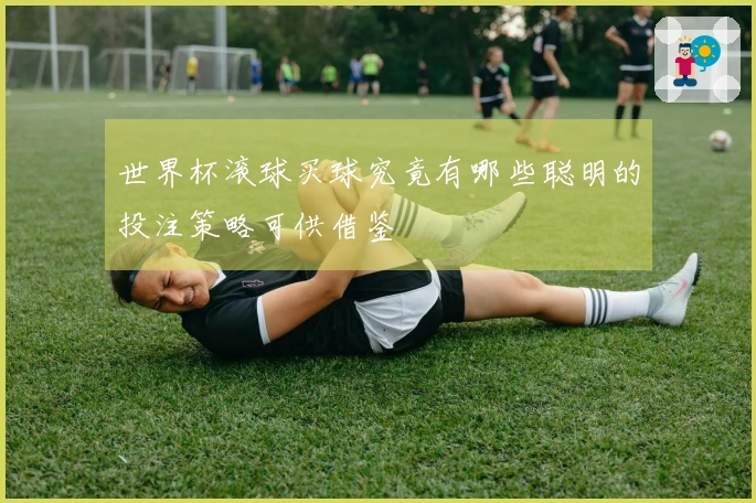 世界杯滚球买球究竟有哪些聪明的投注策略可供借鉴