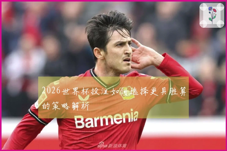 2026世界杯投注如何选择更具胜算的策略解析