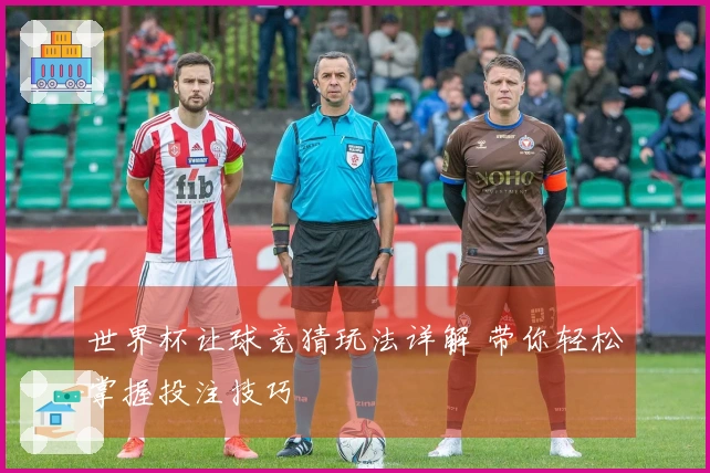 世界杯让球竞猜玩法详解 带你轻松掌握投注技巧