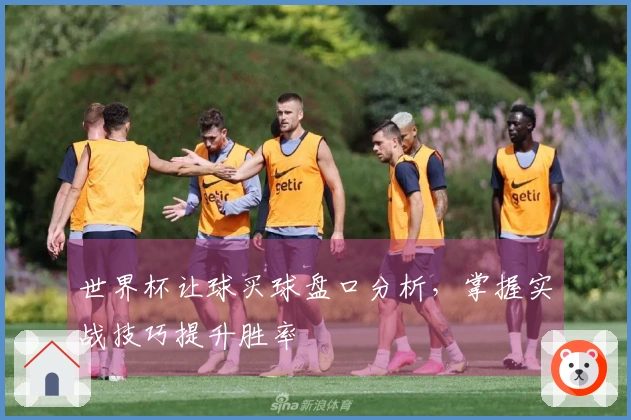 世界杯让球买球盘口分析,掌握实战技巧提升胜率