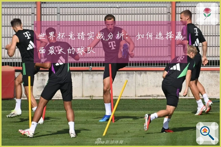 世界杯竞猜实战分析：如何选择赢面最大的球队