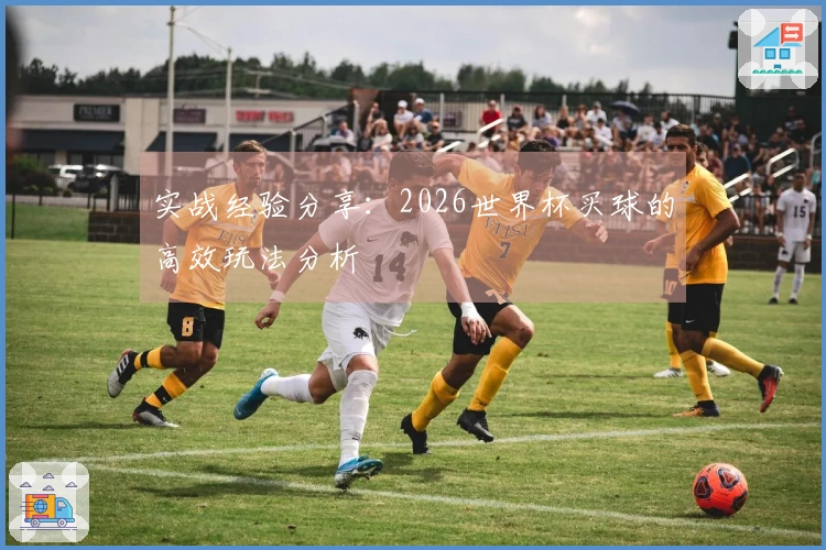 实战经验分享：2026世界杯买球的高效玩法分析