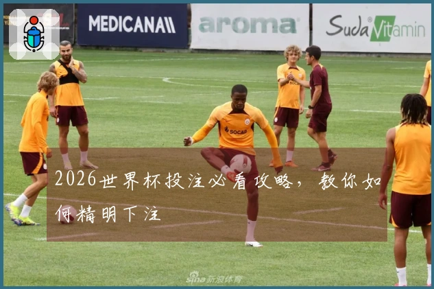 2026世界杯投注必看攻略，教你如何精明下注
