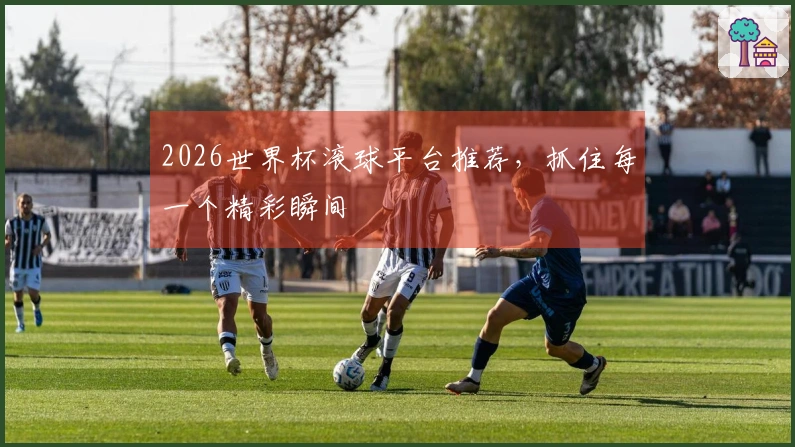 2026世界杯滚球平台推荐，抓住每一个精彩瞬间