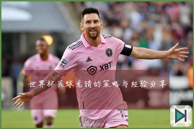 世界杯买球竞猜的策略与经验分享