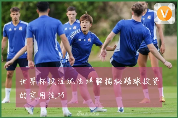 世界杯投注玩法详解揭秘踢球投资的实用技巧