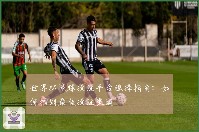 世界杯滚球投注平台选择指南：如何找到最佳投注渠道