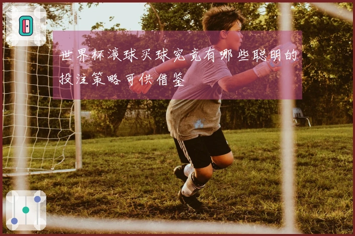 世界杯滚球买球究竟有哪些聪明的投注策略可供借鉴