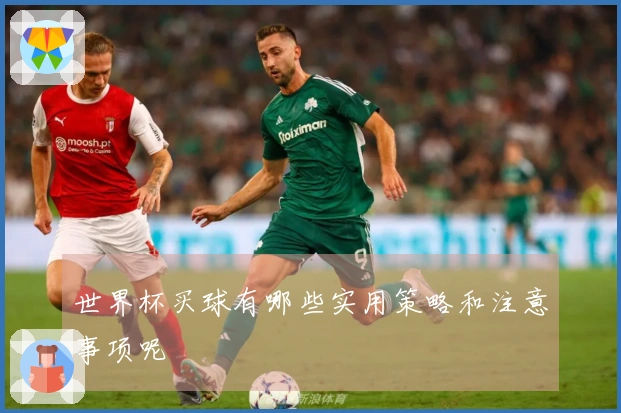 世界杯买球有哪些实用策略和注意事项呢