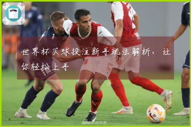 世界杯买球投注新手玩法解析，让你轻松上手