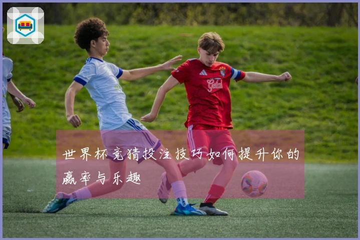 世界杯竞猜投注技巧如何提升你的赢率与乐趣