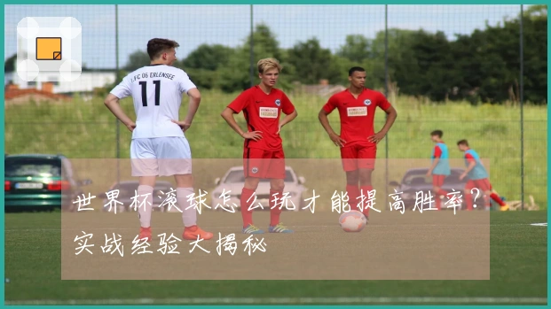 世界杯滚球怎么玩才能提高胜率？实战经验大揭秘