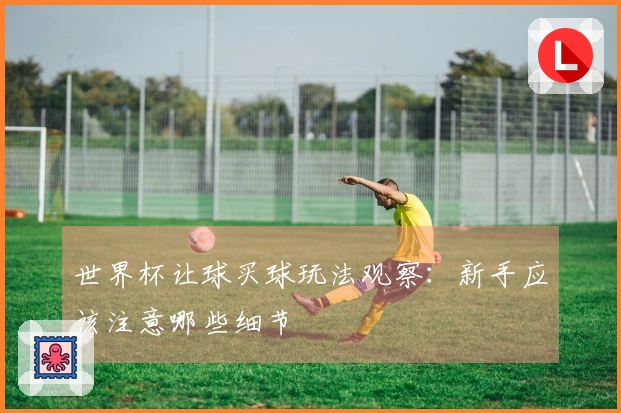世界杯让球买球玩法观察：新手应该注意哪些细节