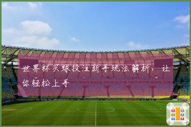 世界杯买球投注新手玩法解析，让你轻松上手
