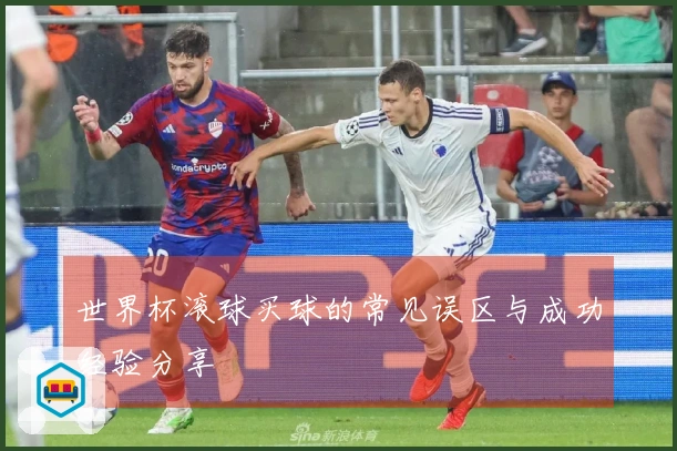 世界杯滚球买球的常见误区与成功经验分享